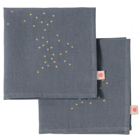 set de 2 serviettes 40*40 lina sesame pluie or