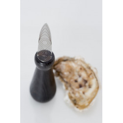Fréhel couteau à huîtres noir