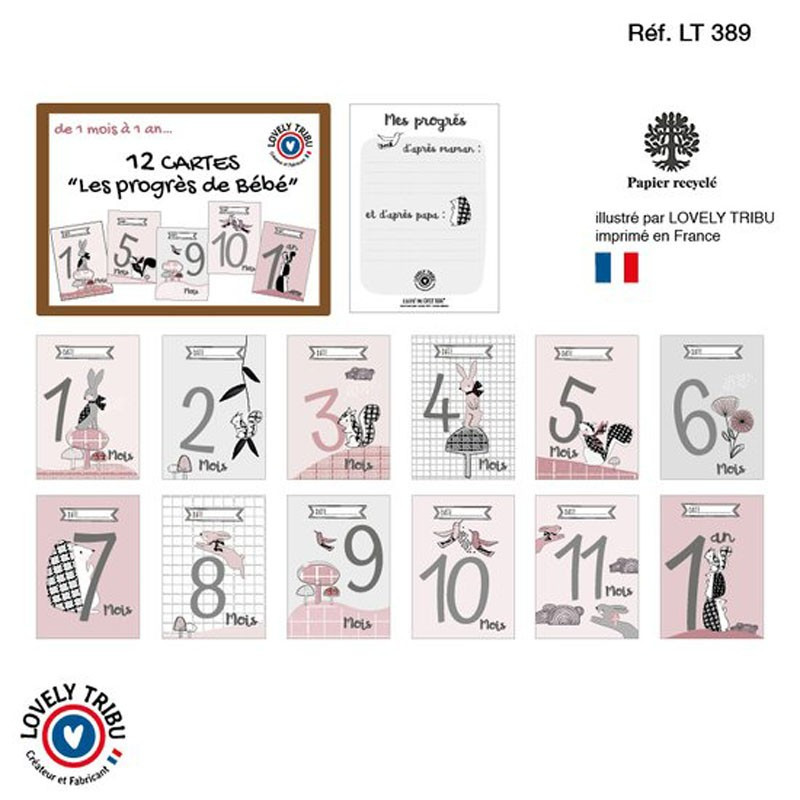 Coffret 12 cartes progrès, tribu Inès