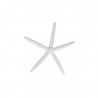 etoile de mer 11 cm blanc