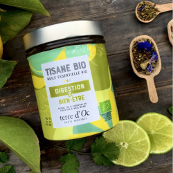Tisane DIGESTION 40g Bio