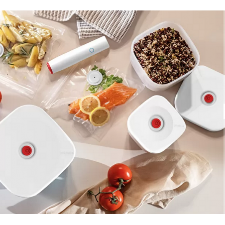 lot de deux boites sous vide + pompe + sacs