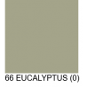 Tablier eucalyptus régalons nos papilles sophie janière