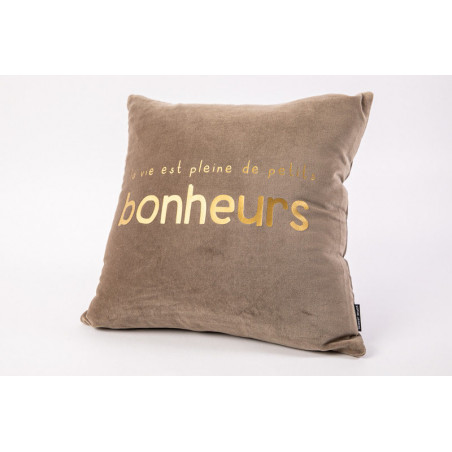 coussin 45*45 cm assorti velours sophie janiere