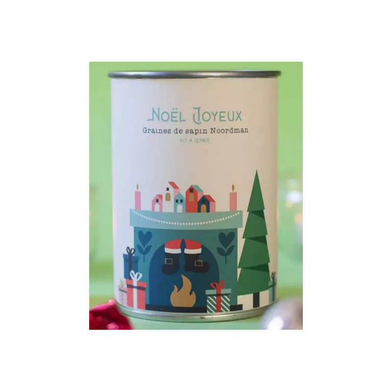 Graines Noël joyeux (cheminée)
