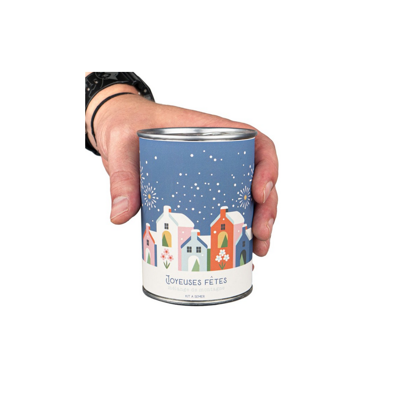 Graines Joyeuses fetes