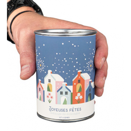 Graines Joyeuses fetes