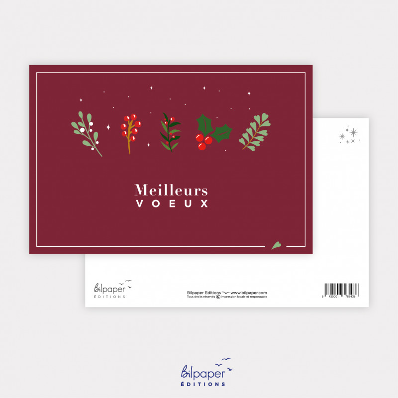 Carte meilleurs voeux gui et houx