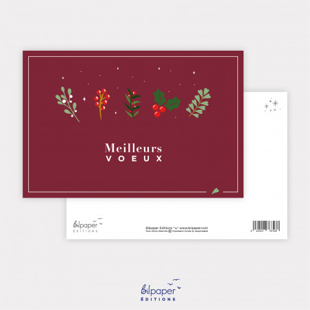 Carte meilleurs voeux gui et houx