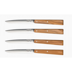 Coffret 4 couteaux bon app SUD OPINEL