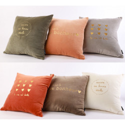 coussin 45*45 cm assorti velours étoile vie bonheur sophie janiere