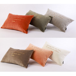 coussin 30*50 cm assorti reves /sieste/ nuit