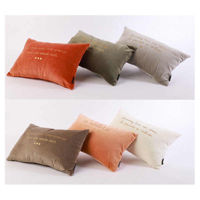 coussin 30*50 cm assorti reves /sieste/ nuit