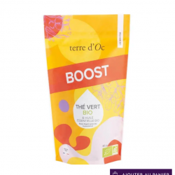 Recharge thé vert Boost bio 80g
