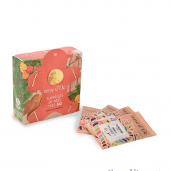 cadeau de table Gingerman Noel bio