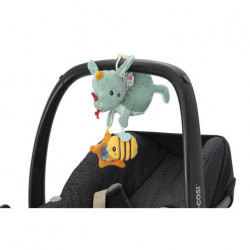 Joe acti nomade