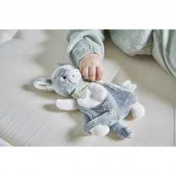 doudou anon chat lion ou tigre