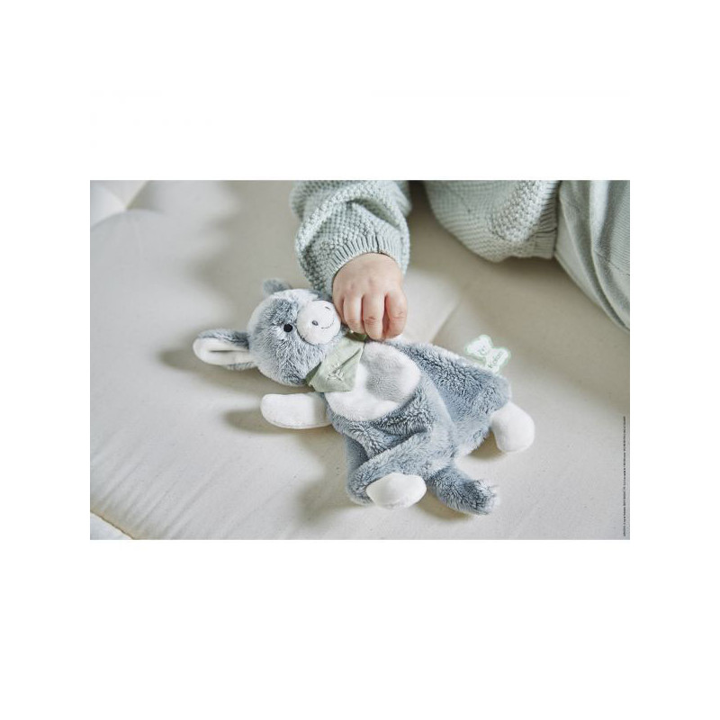 doudou anon chat lion ou tigre