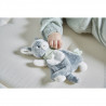 doudou anon chat lion ou tigre