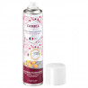 Spray démoulage et cuisson 250ml Gobel