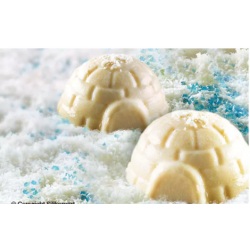 Moule Igloo SILIKOMART