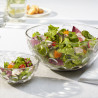 Coupe 26 cucina optic