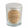 Bougie parfumée les Intemporelles 145g Fleur de mandarine