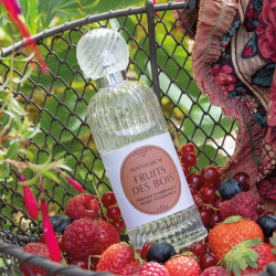 Parfum ambiance Fruits des bois 100 ml