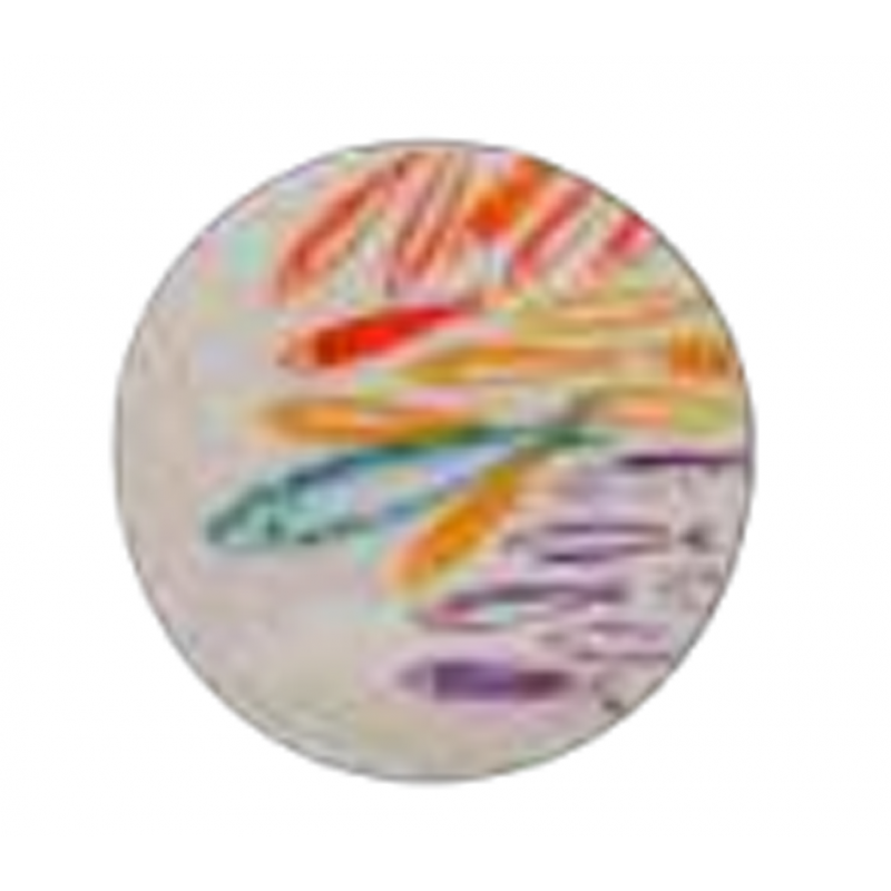 Dessous de plat FESTIVAL PM DURO