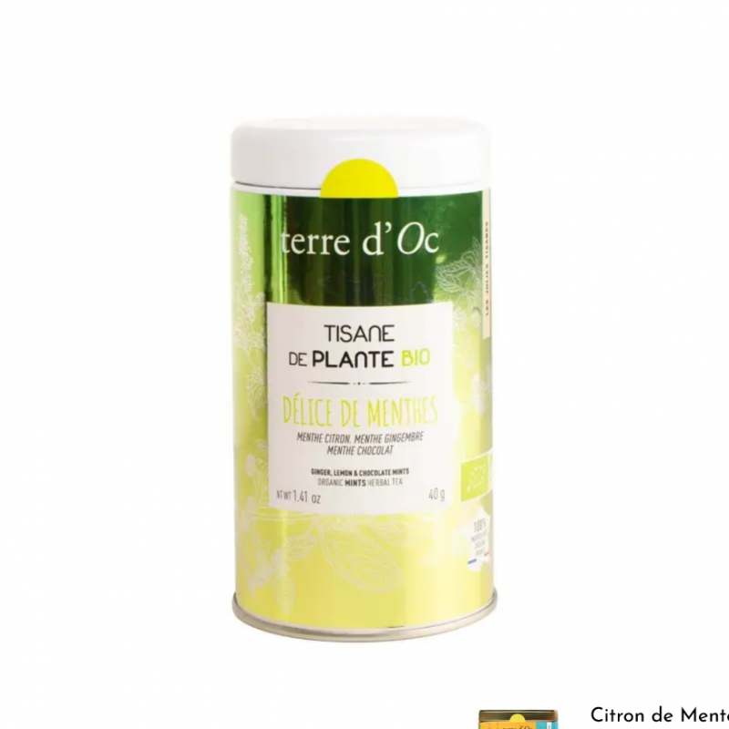 Délices de menthes Choco Ginger Citron bio