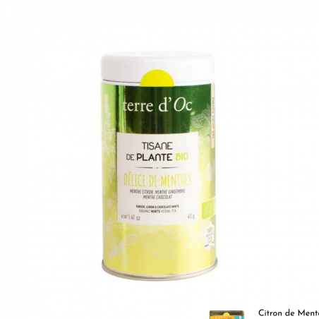 Délices de menthes Choco Ginger Citron bio