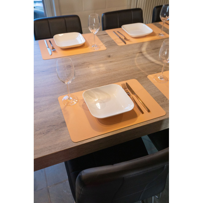 Set de table anti derapant 30*45 pêche