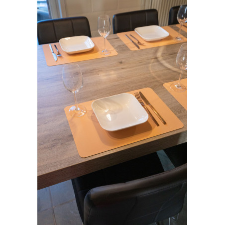 Set de table anti derapant 30*45 pêche