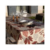 Nappe enduite BORNEO PICANTE 250*150