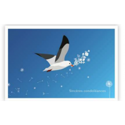 Carte condoléances mouette