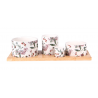 4 pièces CHAMPETRE Set apéro BASTIDE
