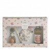Coffret decouverte les intemporelles en fleurs Rose Elixir