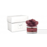 Diffuseur rose 50 ml bordeaux grenade MUHA