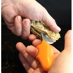 Couteau à huîtres KLEZE