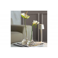 Vase 16 Aria