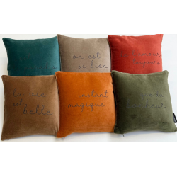 coussin velours 25*25 cm messages et coloris assortis  s. janiere