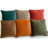 coussin velours 25*25 cm messages et coloris assortis  s. janiere
