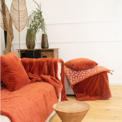 coussin delicatesse 50*50 brique