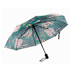 parapluie pliant audacieuse DLP
