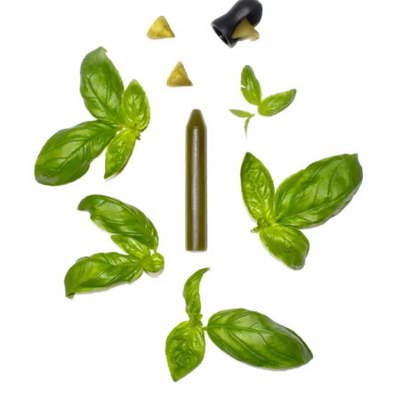 Recharge basilic OCNI