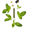 Recharge basilic OCNI