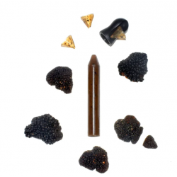 Recharge truffe noire OCNI