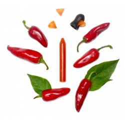 Recharge piment d'espelette OCNI