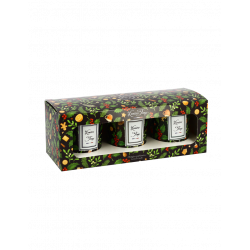 Coffret 3 bougies Champagne Rosé - Sapin - Thé au Coin du Feu 90g