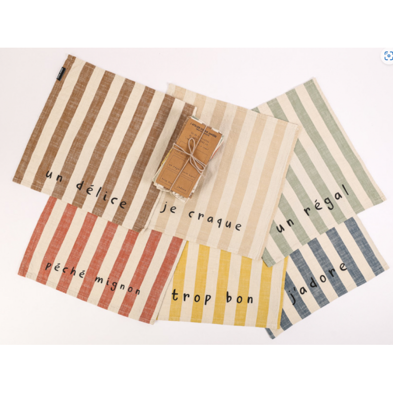 6 serviettes "C bon, régal, délice" 40*40 S. janière